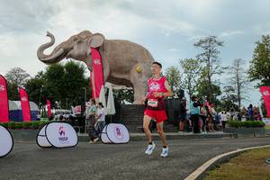 BIB: 
                            <button type="button" onclick="openModal(26528914)" class="btn btn-primary btn-sm float-right btn-popup" data-toggle="modal" data-target=".modal-high-quality">
                        <i class="fas fa-shopping-cart"></i> Add to Cart
                    </button>
                                            <button type="button" onclick="isThisMe(26528914, true)" class="btn btn-success btn-sm float-right btn-popup btn-isme hidden" data-toggle="tooltip" data-placement="bottom" title="นี่คือรูปของคุณใช่ไหม คลิกที่นี่เพื่อเอาเข้าอัลบั้ม">
                        <i class="fas fa-plus"></i> Add to album
                    </button>
                    <button type="button" onclick="isThisMe(26528914, false)" class="btn btn-warning btn-sm float-right btn-popup btn-isnotme hidden">
                        <i class="fas fa-ban"></i> Remove from album
                    </button>